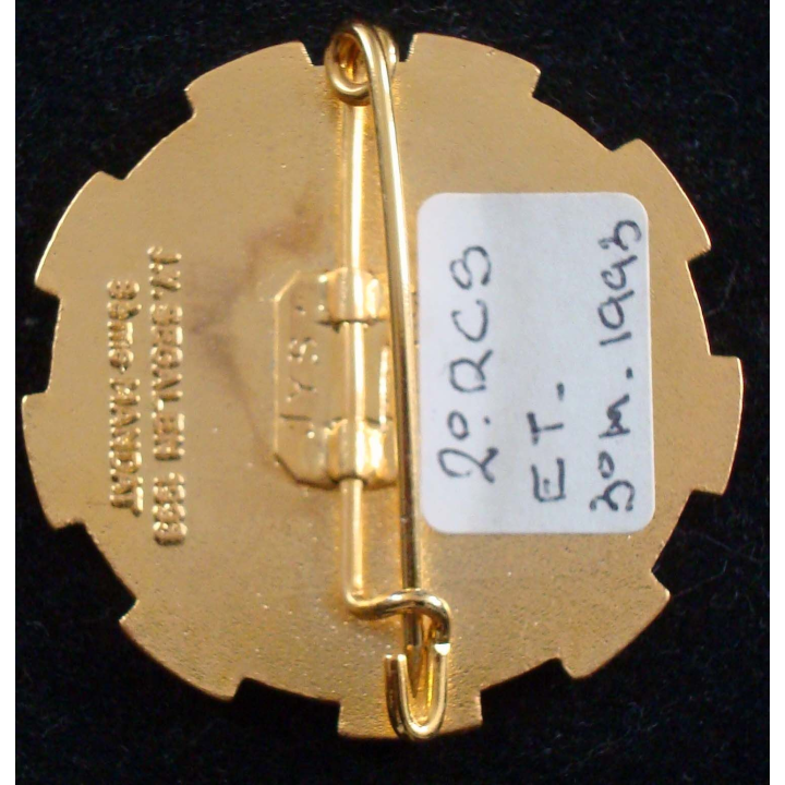 Insigne escadron de transport du 403° BSL soutien logistique 2° RCS