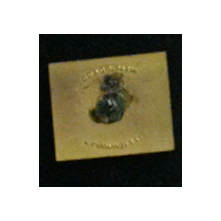 11° Régiment de Chasseurs d'Afrique QUAND MÊME 11° RCA