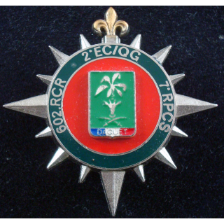 du 602°RCR, 2° EC/QG, 7°RPCS opération Daguet de fabrication Delsart