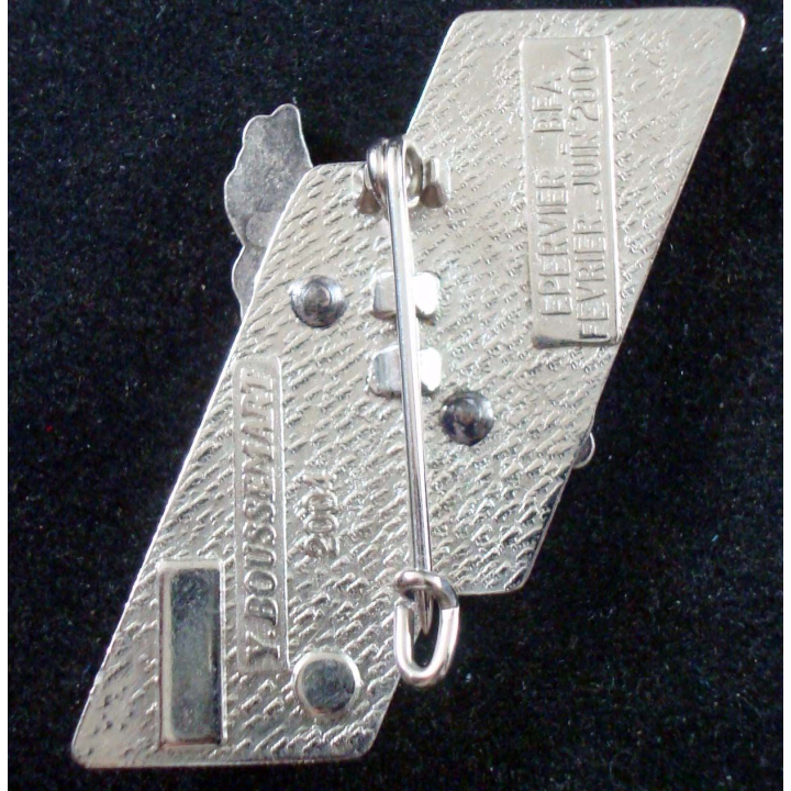 Opération épervier du 3° RH, de la BFA et du 110° RI au Tchad