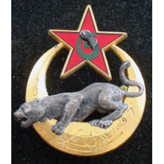 Insigne de l'EEI de la 6° division légère blindée Drago G. 4216 gravé