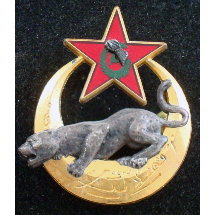 Insigne de l'EEI de la 6° division légère blindée Drago G. 4216 gravé