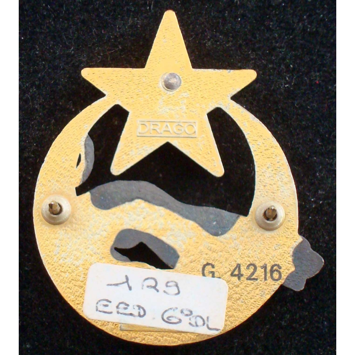 Insigne de l'EEI de la 6° division légère blindée Drago G. 4216 gravé