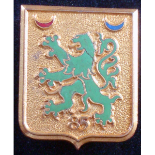 Iinsigne du 85° GRDI du 1° régiment de spahis algériens Arthus