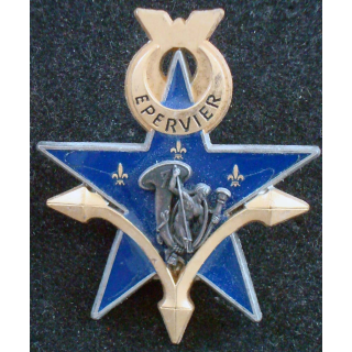 4° régiment de chasseurs et du 7° BCA opération épervier
