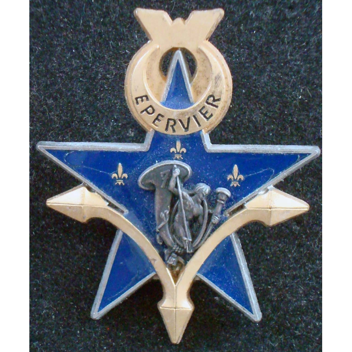 4° régiment de chasseurs et du 7° BCA opération épervier