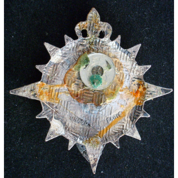 Insigne du 602 RCR régiment de circulation routière Drago Paris G.2680