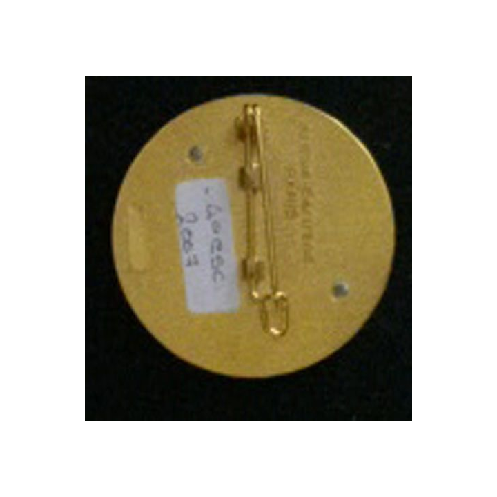 1° RCA CIABC : insigne brevet d'instructeur