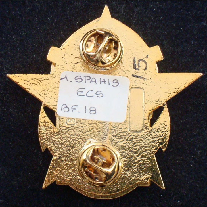 insigne de l'EMT de la CCL du 1° régiment de saphis au Kosovo BATFRA