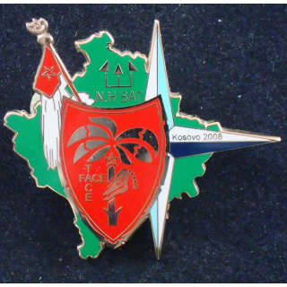 Insigne du 2° escadron du 1° RS bataillon Nothing Hill Kosovo 2008