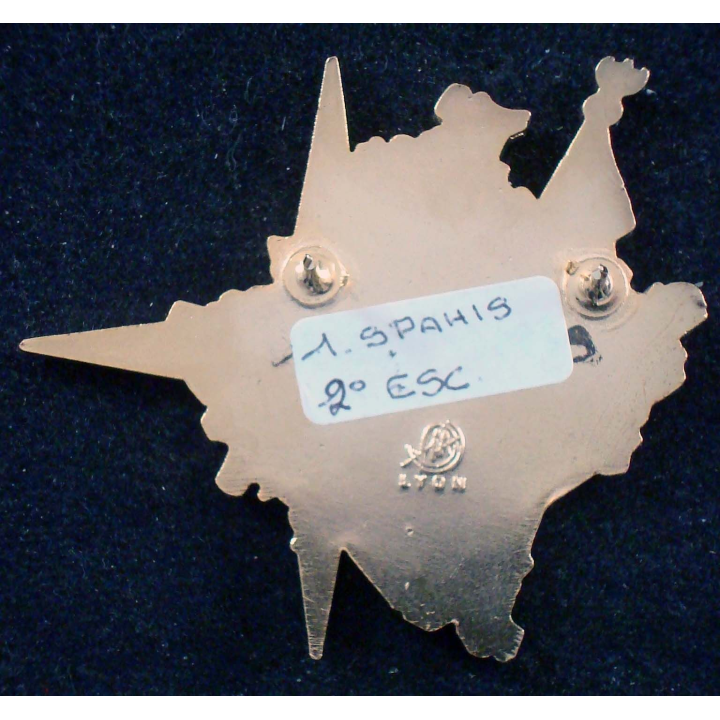 Insigne du 2° escadron du 1° RS bataillon Nothing Hill Kosovo 2008
