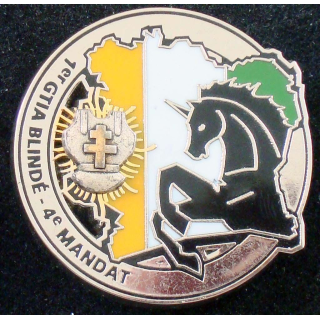 1° GTIA blindé du 6° et 12° régiment de cuirassiers 4° mandat Licorne