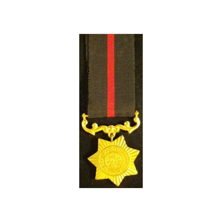 PAKISTAN : CROIX DE GUERRE 1965 ATTRIBUEE