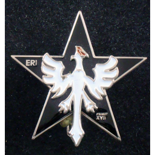 ERI du 1° et 11° régiment de cuirassiers J.Y Ségalen opération Pamir