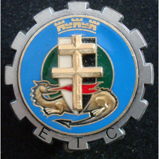 Insigne ETC escadron transport circulation CMD METZ 6° RM région mili