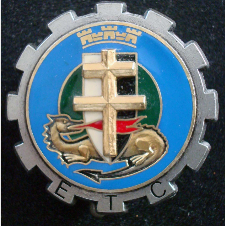 Insigne ETC escadron transport circulation CMD METZ 6° RM région mili