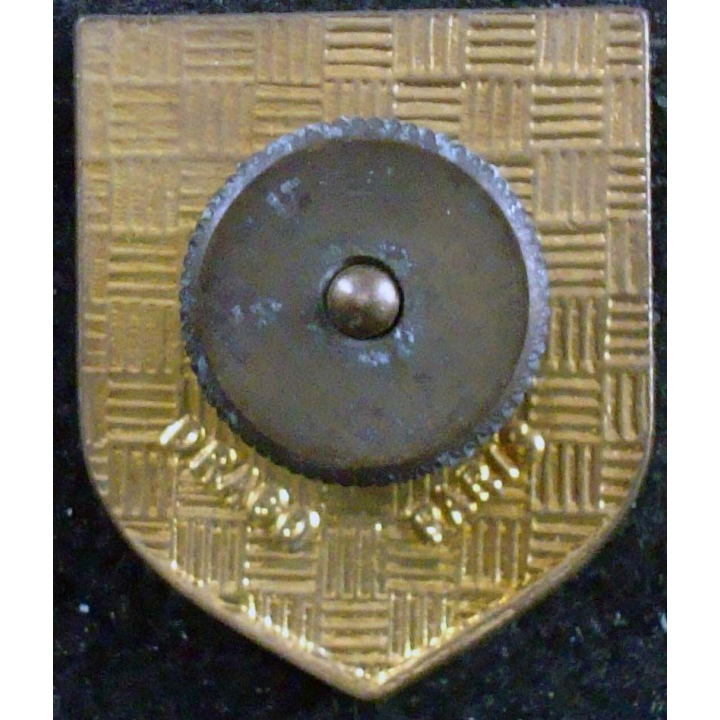 insigne du 4° régiment de garde montagnarde VBSC LD4 en Extrême-Orient