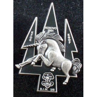 2° escadron du BIM 2/6 des 1° et 2° régiments de chasseurs Delsart
