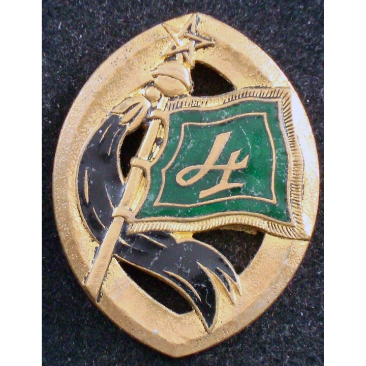 Insigne du 4° régiment de spahis marocains Drago Paris G. 1054