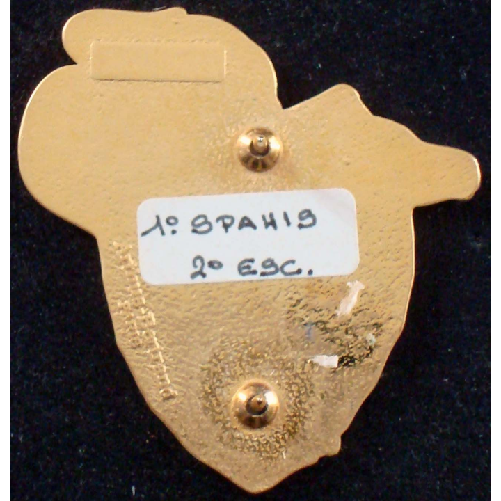 Insigne du 2° escadron du 1° régiment de spahis au Tchad Epervier 98