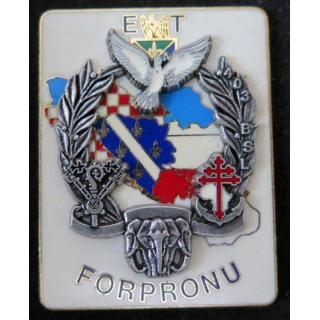 Insigne de l'ET du 403° Bat de Soutien Logistique FORPRONU Delsart