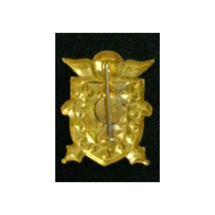 20° GAP : insigne du 20° groupe d'artillerie parachutiste A. Bertrand
