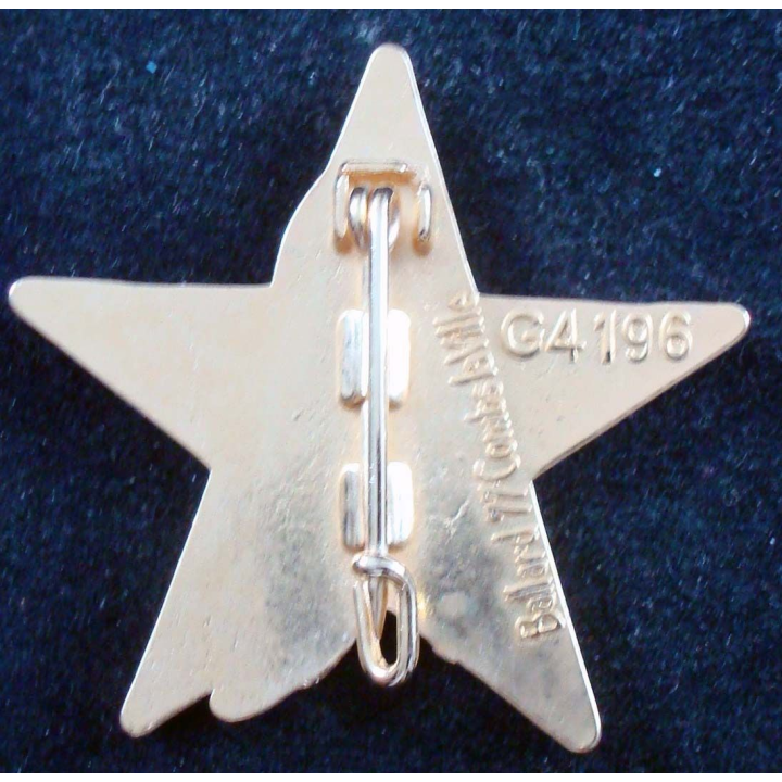 Escadron d'éclairage de la 27° division d'infanterie de montagne