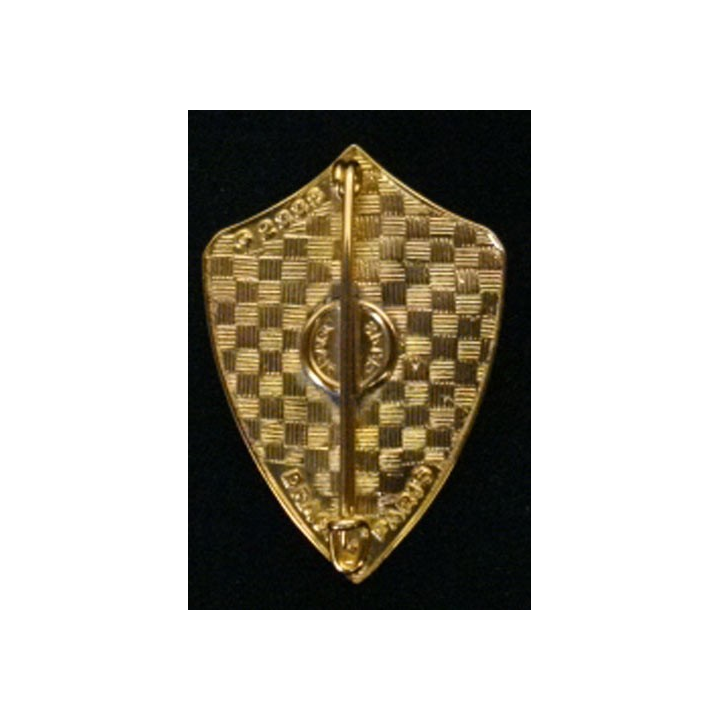 9° REGIMENT DE CHASSEURS