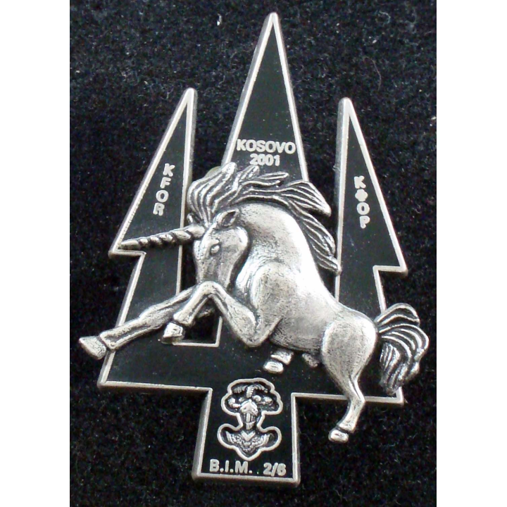 2° escadron du BIM 2/6 des 1° et 2° régiments de chasseurs Delsart