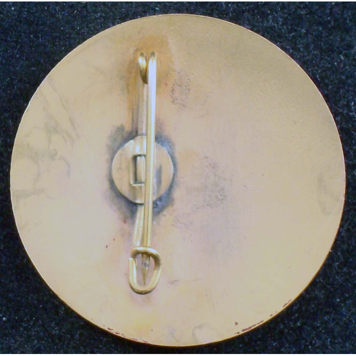 Brigade expérimentale Javelot 1954 de la 7° division mécanique rapide
