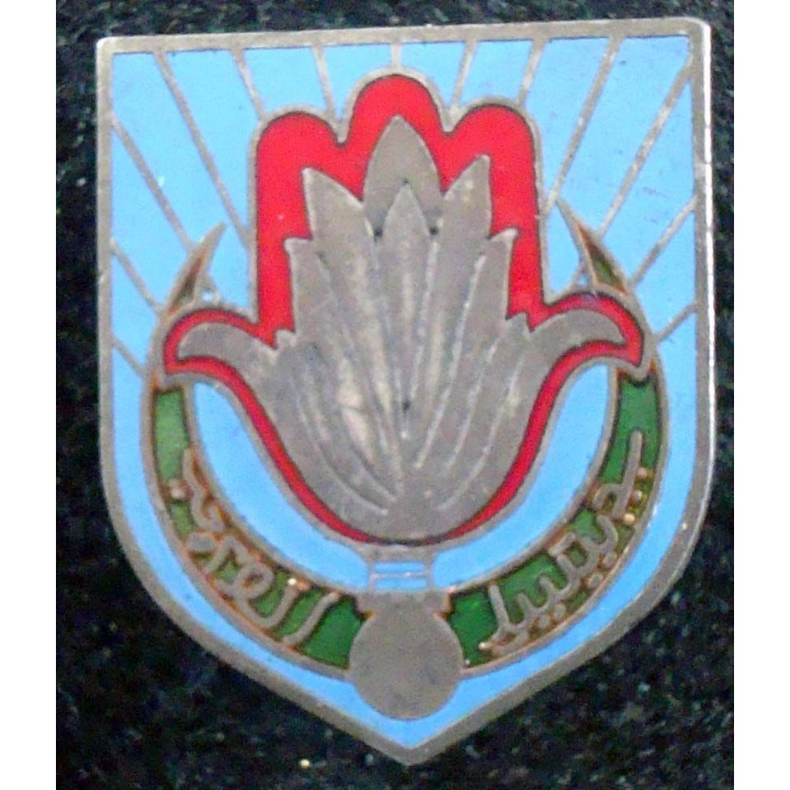 écu de la 10° légion bis de gendarmerie départementale à Oran