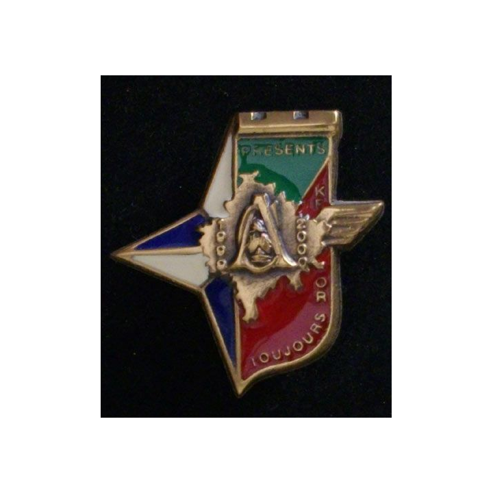 17° RGP CA KFOR : CA du 17° régiment du génie parachutiste KFOR 1999-2000 en bronze massif