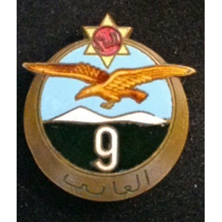 9° RTA : 9° RÉGIMENT DE TIRAILLEURS ALGÉRIENS