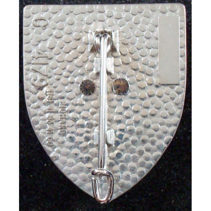 RC 80 (régiment de chars à 80 chars) du 6° & 12° cuirassiers Pichard