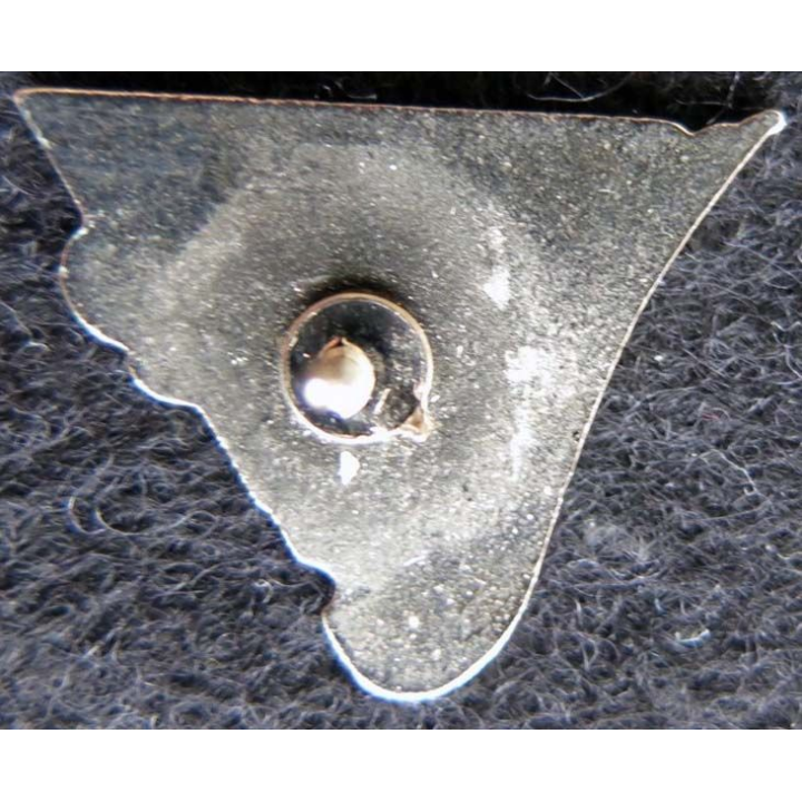 2° REP : insigne en réduction de la 2° compagnie du 2° régiment étranger parachutiste attache pin’s