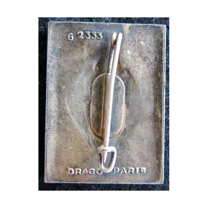 2° REI : insigne métallique du 2° régiment étranger d'infanterie Drago G. 2333 émail