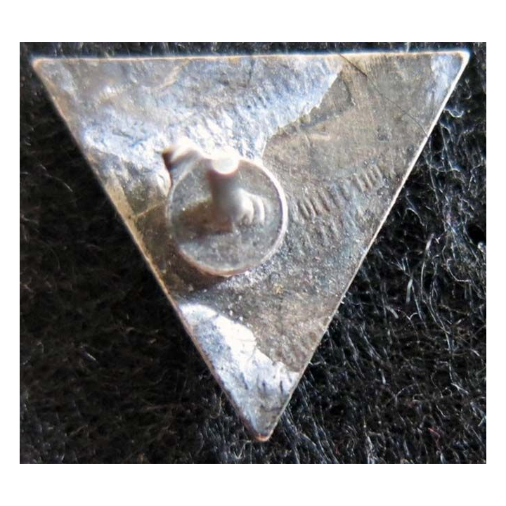 2° REP : insigne en réduction du 2° régiment étranger parachutiste attache pin’s