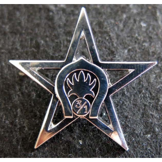 1° REC  : Insigne métallique du 3° escadron du 1° Régiment étranger de cavalerie A.B chromé