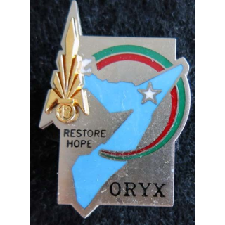 13° DBLE : insigne métallique de la 13° demi brigade de la légion étrangère Opération ORYX Balme Saumur numéroté