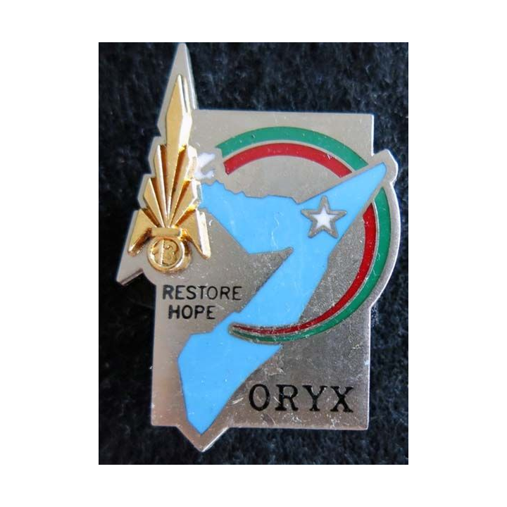13° DBLE : insigne métallique de la 13° demi brigade de la légion étrangère Opération ORYX Balme Saumur numéroté