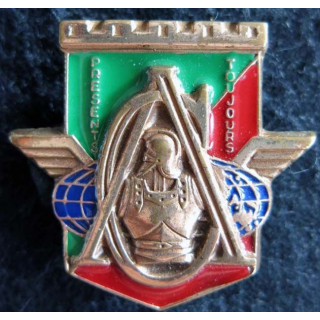 17° RGP: insigne de la compagnie d'appui du 17° régiment du génie parachutiste bronze massif boléro rond