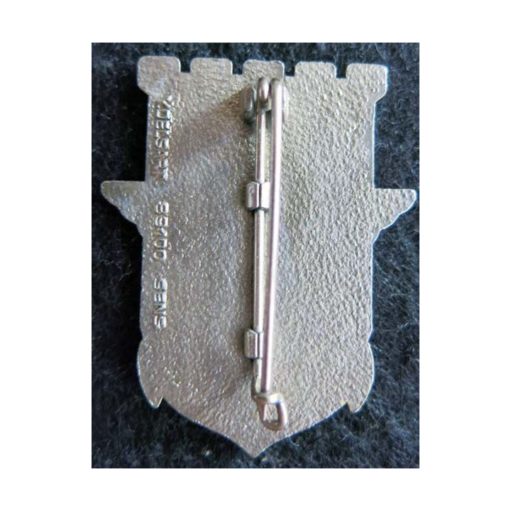 17° RGP: insigne de la compagnie d'appui du 17° régiment du génie parachutiste FINUL 82 Delsart