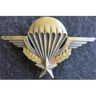 BREVET PARA : Brevet parachutiste Drago Romainville déposé numéroté 134 311