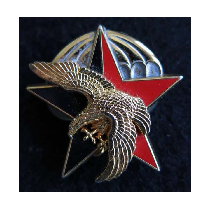 CERP : insigne métallique du centre d'entrainement des réserves parachutistes Le Ronceray G. 1471