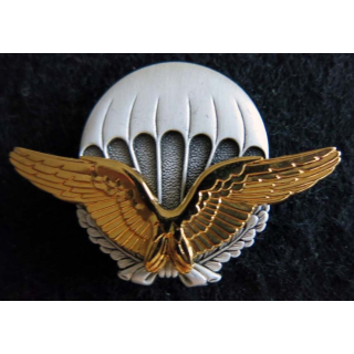 BREVET PARA : brevet d'initiation au parachutisme Armée de l'Air Arthus Bertrand