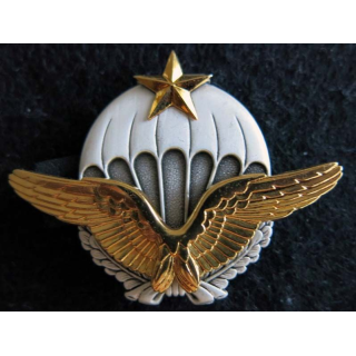 BREVET PARA : brevetbrevet militaire parachutiste de l’Armée de l’Air Arthus Bertrand