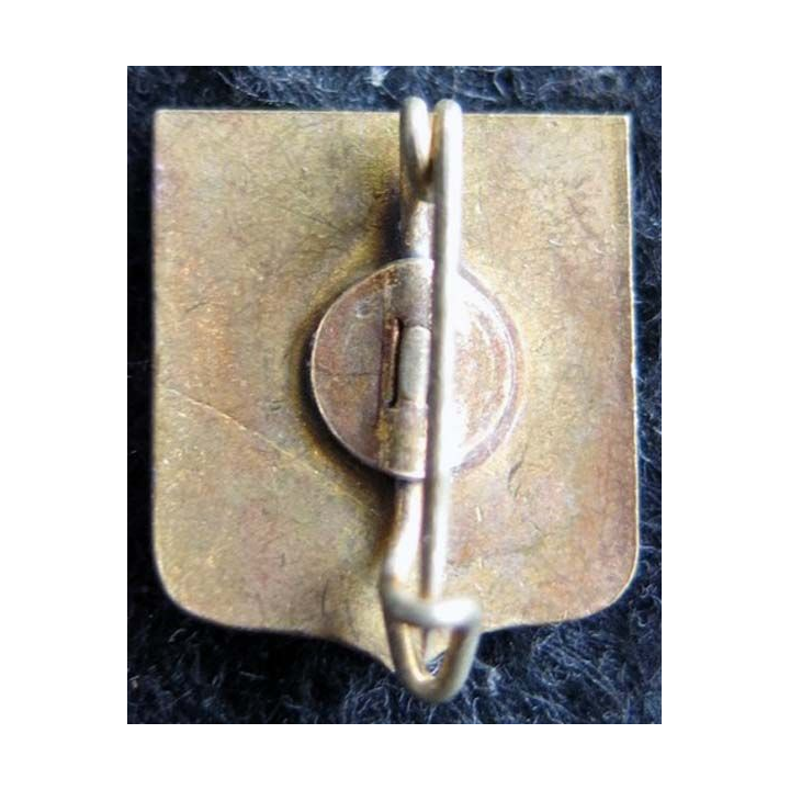 BLASON VIVARAIS : insigne métallique ancien blason en émail du Vivarais 17 x 14 mm avec épingle
