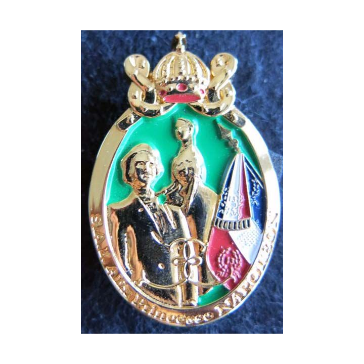 13° RDP : insigne métallique du 13° régiment de dragons parachutistes SAI Alix princesse Napoléon IMC