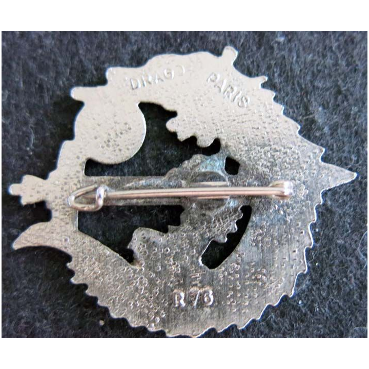 511° CLSM : 511° compagnie légère de supplétifs militaires 1° REC Drago Paris R76