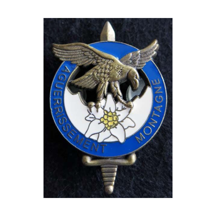 CNAM : Insigne métallique de brevet initiation bronze d'aguerrissement montagne GS. 146